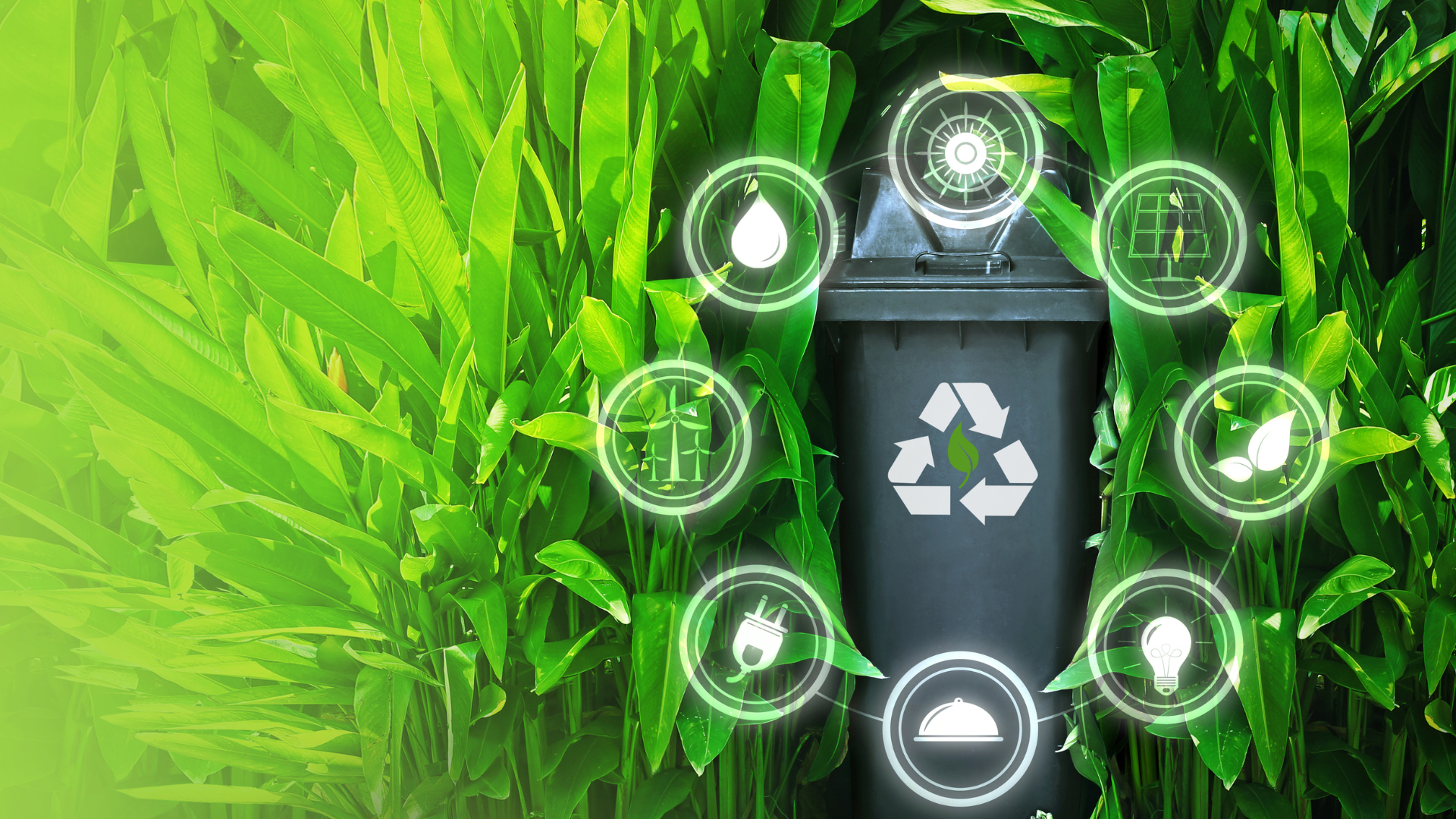 Design sem nome (33)