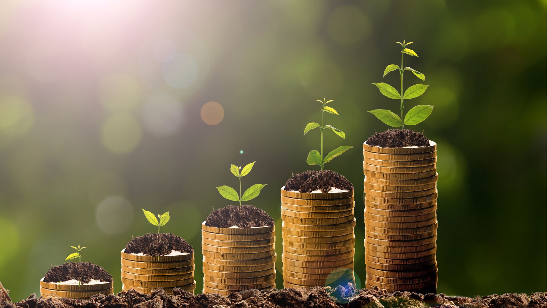 O que pode causar multa ambiental na sua empresa em 2026? (Guia atualizado e prático)